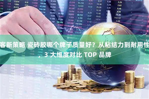 客新策略 瓷砖胶哪个牌子质量好？从粘结力到耐用性，3 大维度对比 TOP 品牌