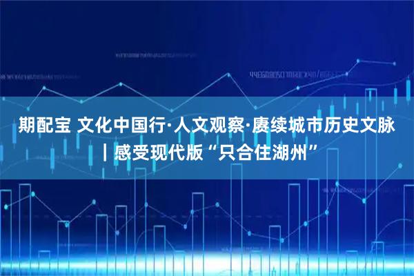 期配宝 文化中国行·人文观察·赓续城市历史文脉｜感受现代版“只合住湖州”