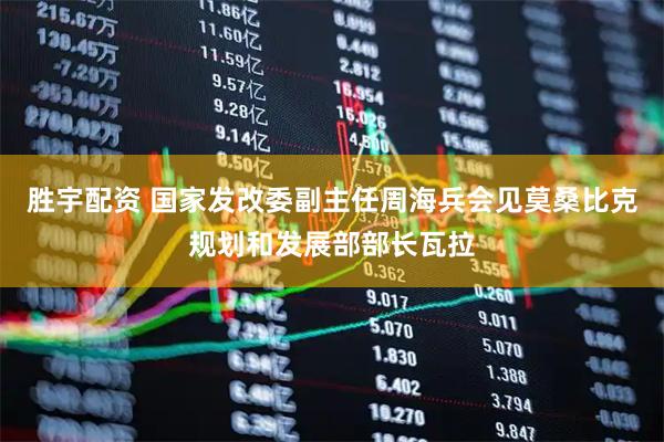 胜宇配资 国家发改委副主任周海兵会见莫桑比克规划和发展部部长瓦拉
