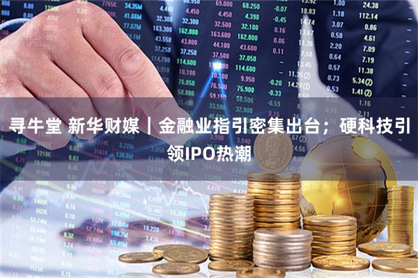 寻牛堂 新华财媒｜金融业指引密集出台；硬科技引领IPO热潮